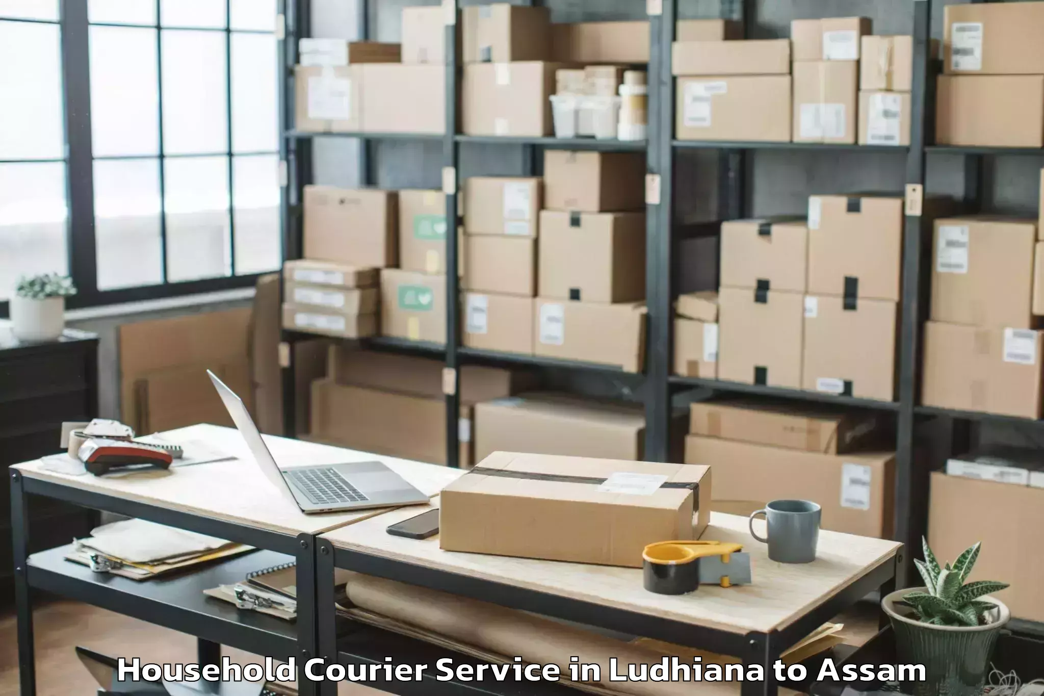 Reliable Ludhiana to Mankachar Household Courier